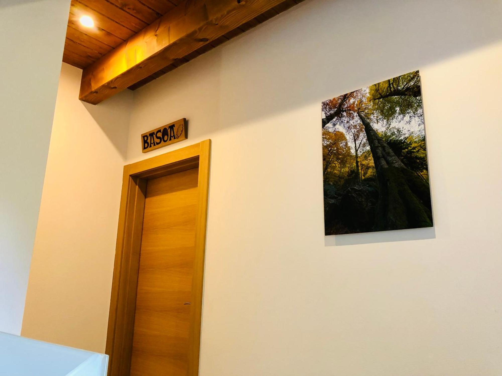 Apartamentos Zabalarena Basoa Orbaiceta Exterior foto